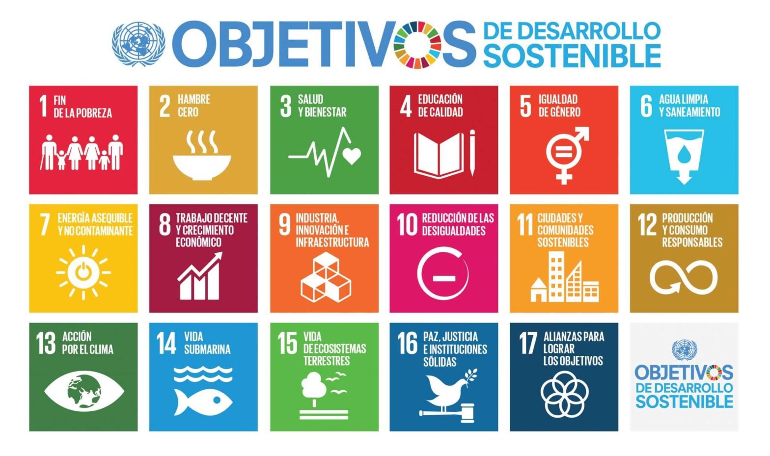 ODS objetivos