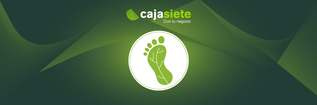 obligatoridad de calcular y reducir la huella de carbono de las empresas canarias parte 2 cajasiete