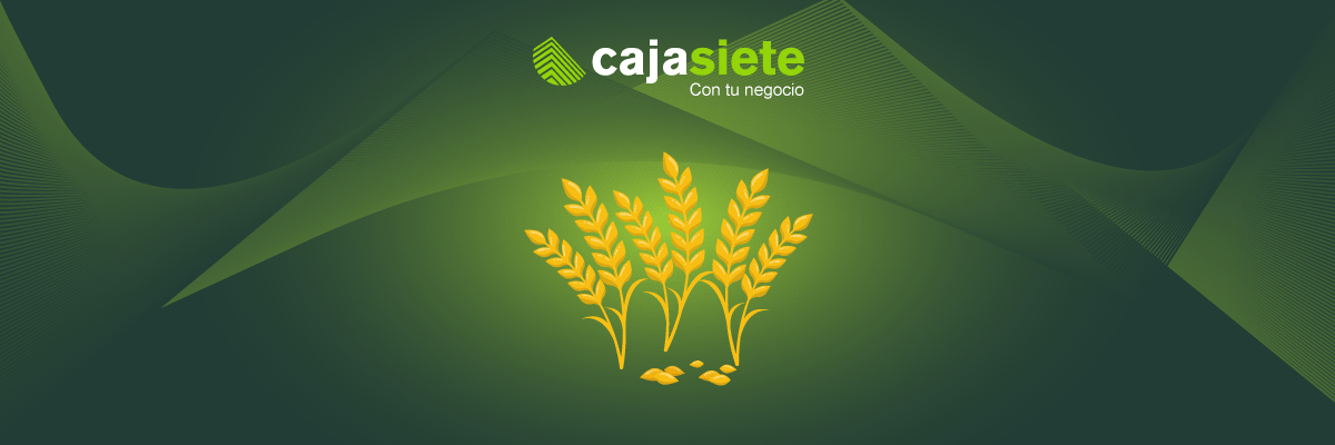 separando el grano de la paja cajasiete