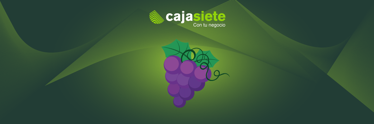 expansion de la vinicultura estrategias clave para la exportacion de vino cajasiete