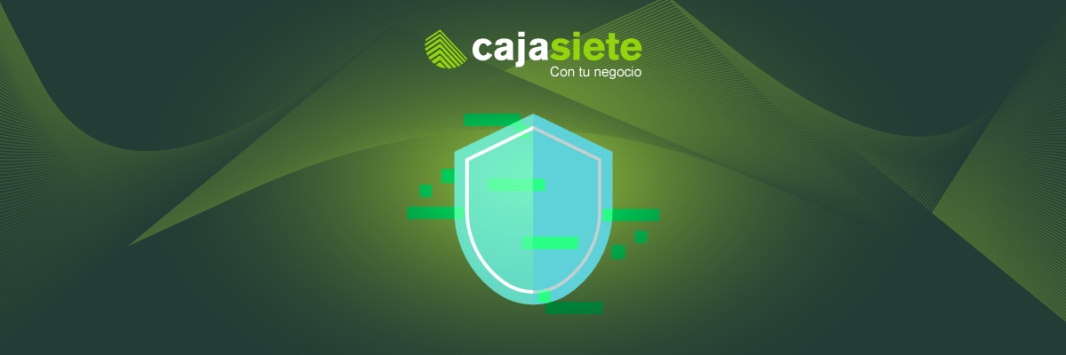 garantizar seguridad sistemas y proteccion datos cajasiete