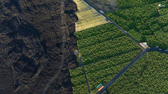 i love world la palma