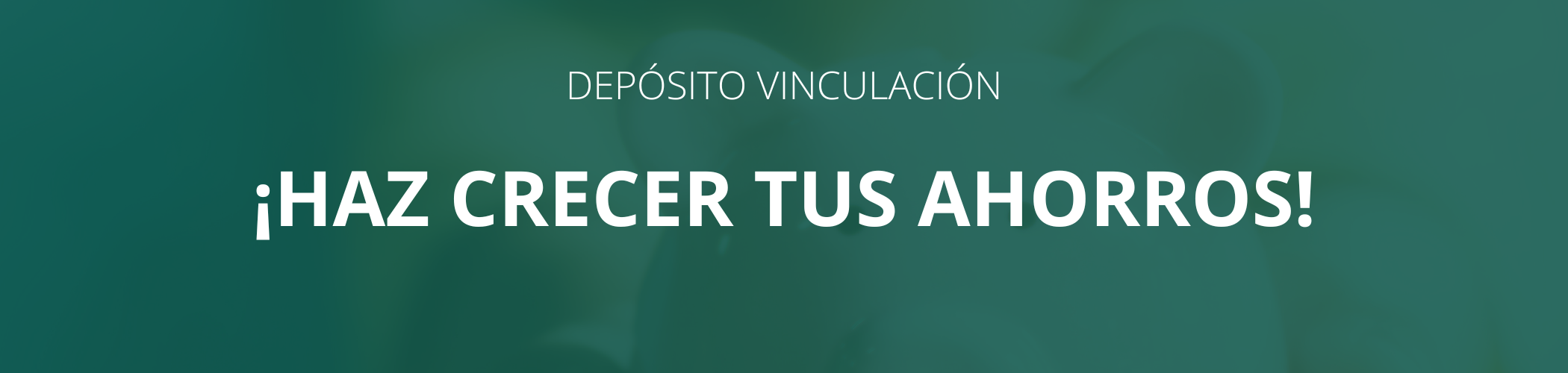 IPF vinculación