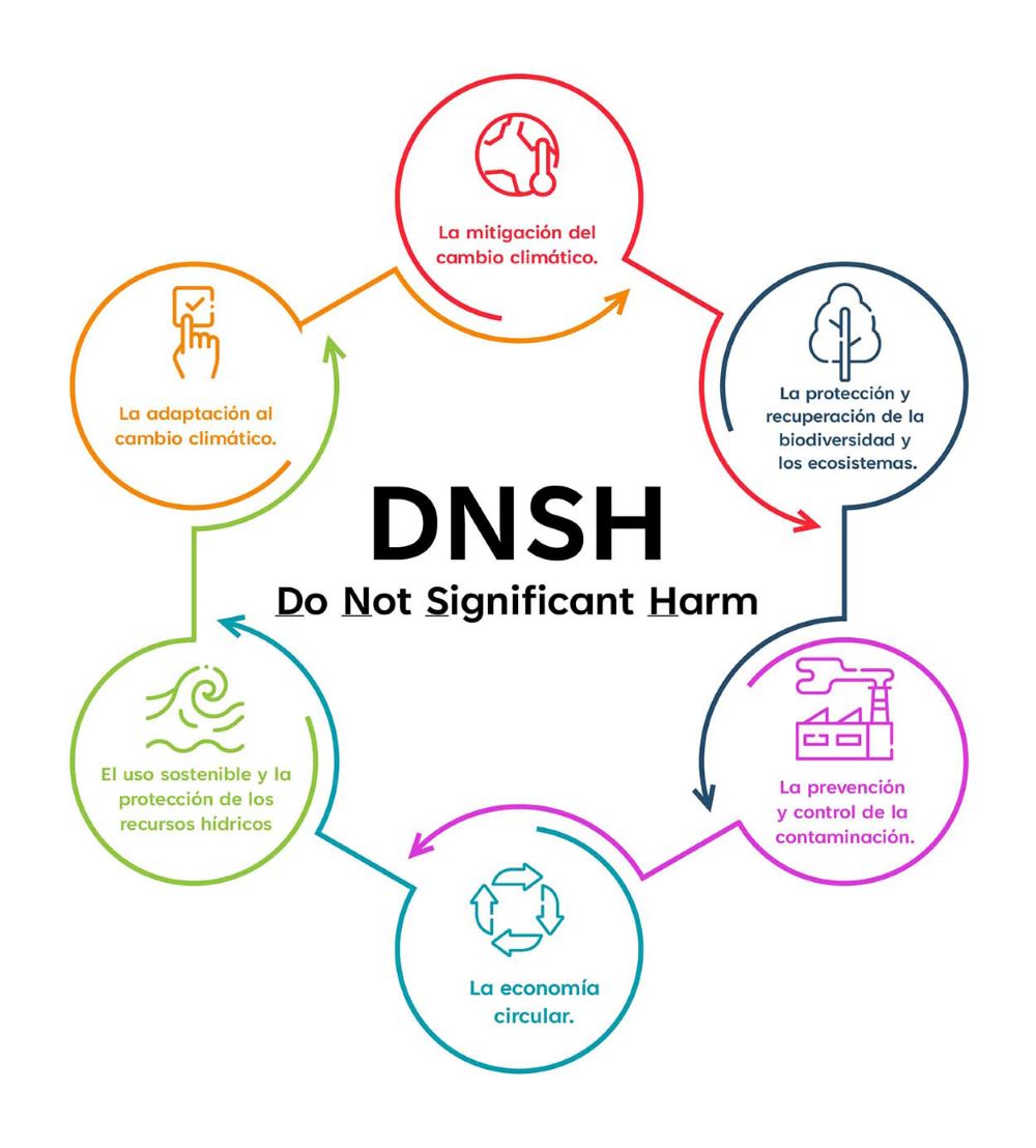 DNSH