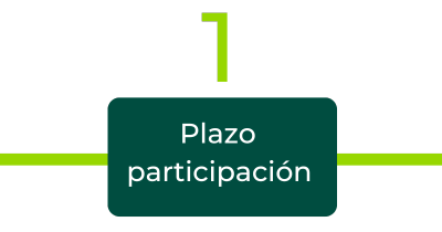 plazo participación