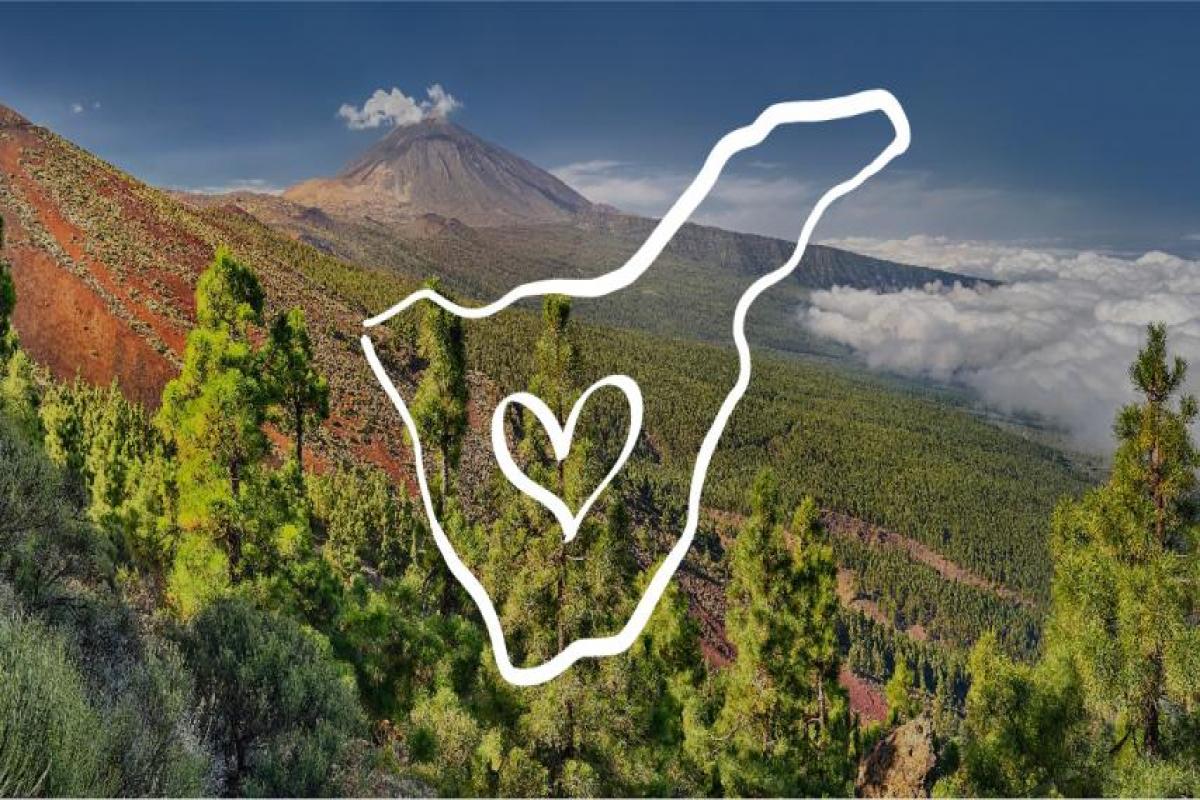 Cajasiete pone en marcha un programa de apoyo de 30 millones de euros destinado a las personas damnificadas por el incendio en Tenerife