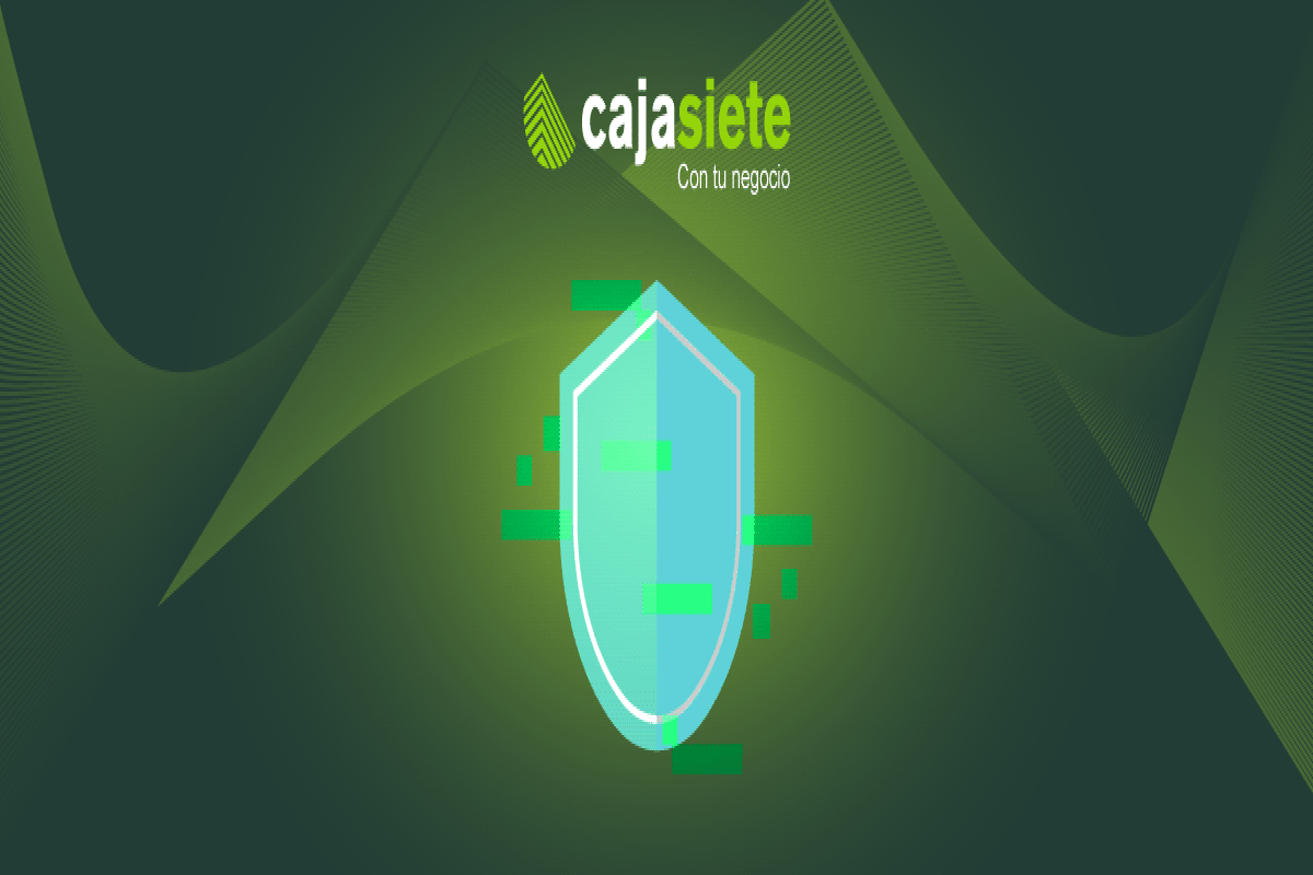 Garantizar la seguridad de los sistemas y la protección de datos ¿cómo hacer ambas cosas?