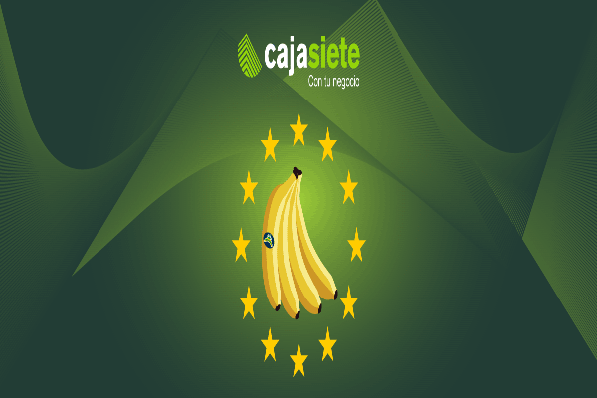 La relevancia jurídica y la trascendencia social y económica del estatus de Canarias como región ultraperiférica de la Unión Europea