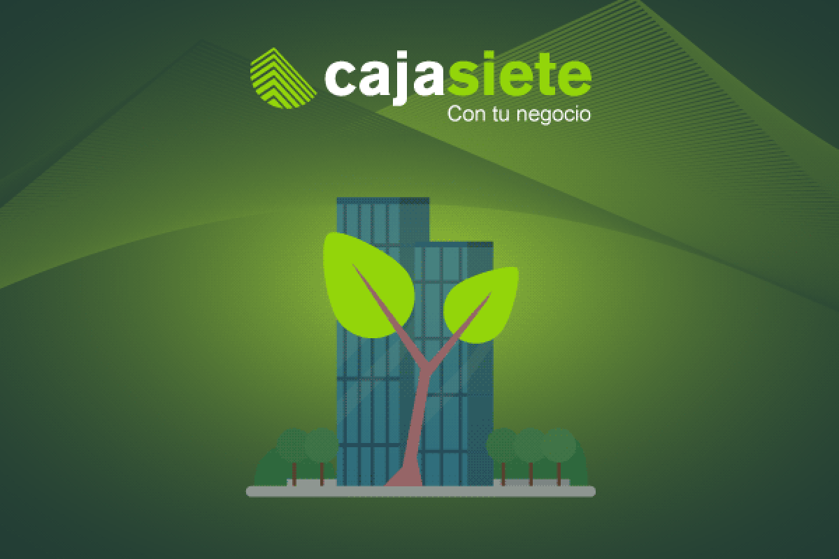 Buenas prácticas ambientales en la empresa