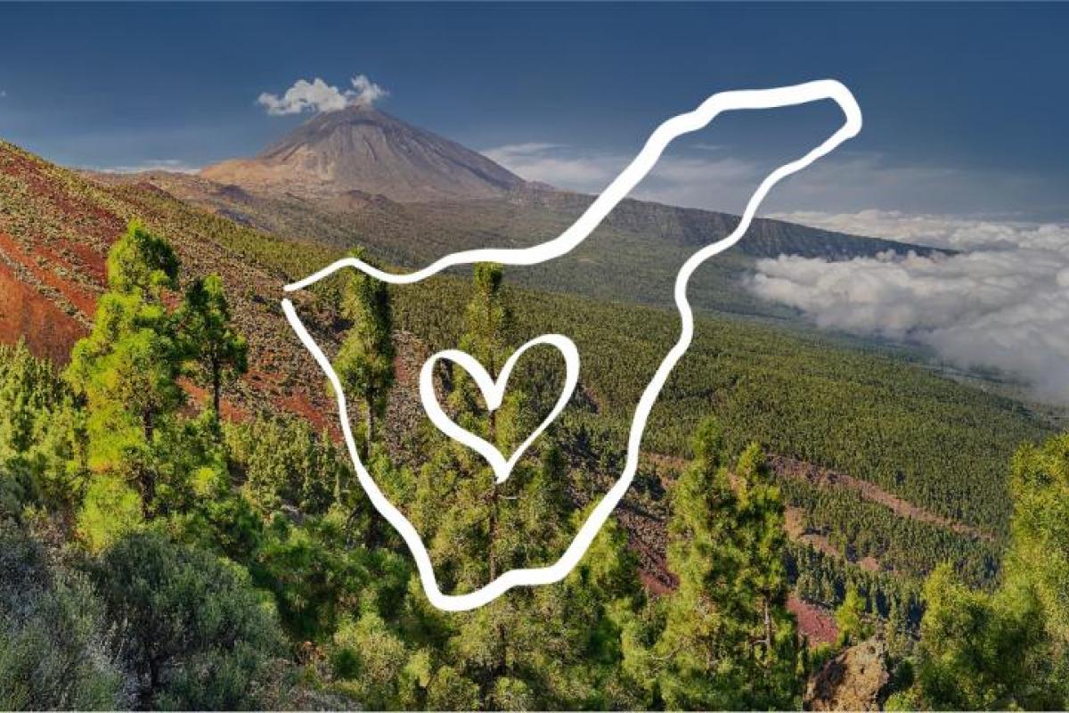 Cajasiete pone en marcha un programa de apoyo de 30 millones de euros destinado a las personas damnificadas por el incendio en Tenerife