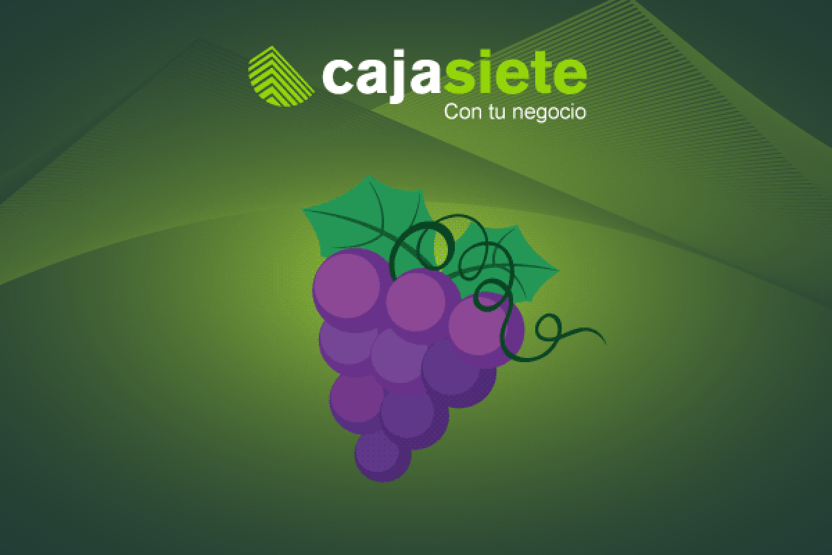 Expansión de la vinicultura: estrategias clave para la exportación de vino
