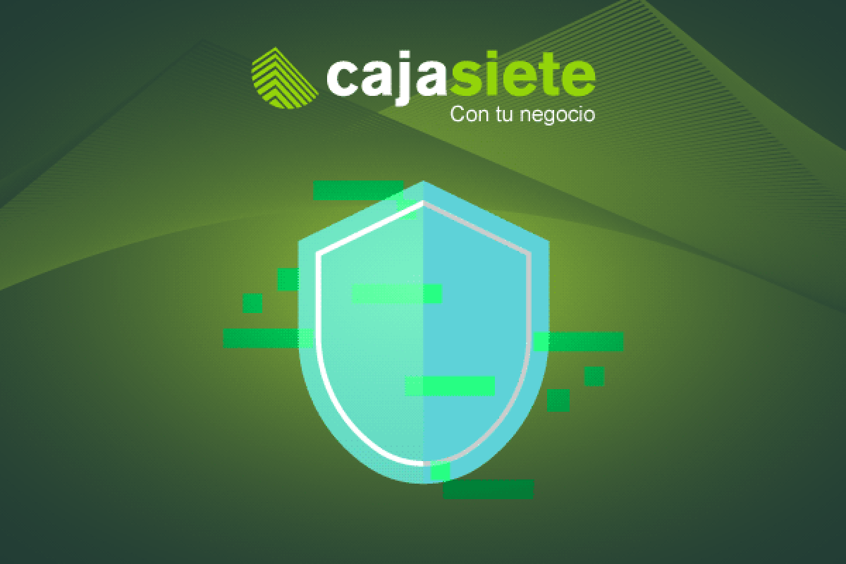 Garantizar la seguridad de los sistemas y la protección de datos ¿cómo hacer ambas cosas?
