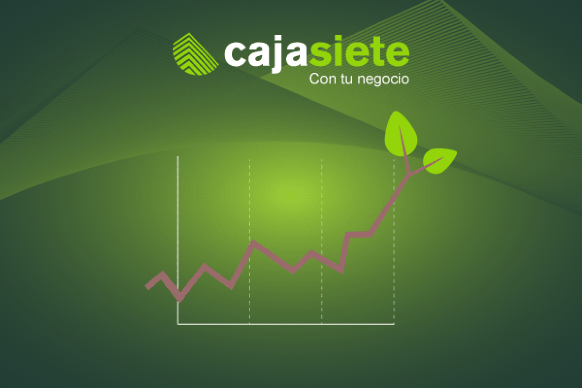 La sostenibilidad es rentable
