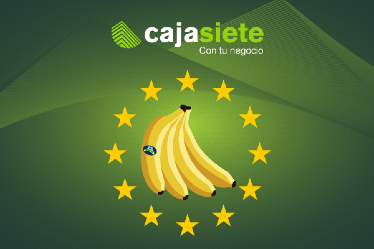 La relevancia jurídica y la trascendencia social y económica del estatus de Canarias como región ultraperiférica de la Unión Europea