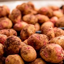 Seguro Hortalizas de Canarias - Papas